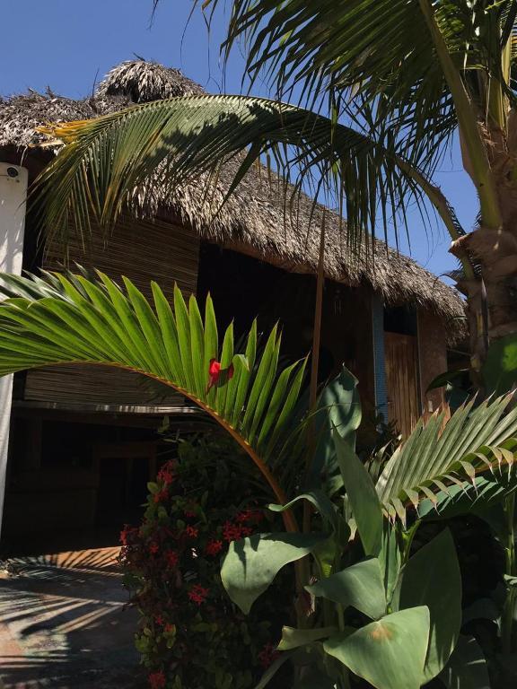 Condominio Agave Del Mar Coyuca de Benitez 외부 사진